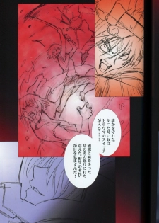(C73) [HenReiKai (Kawarajima Koh)] SEED ANOTHER CENTURY D.E 5 (Gundam SEED) - page 26