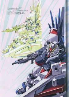 (C73) [HenReiKai (Kawarajima Koh)] SEED ANOTHER CENTURY D.E 5 (Gundam SEED) - page 48