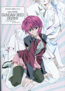 (C73) [HenReiKai (Kawarajima Koh)] SEED ANOTHER CENTURY D.E 5 (Gundam SEED) - page 49