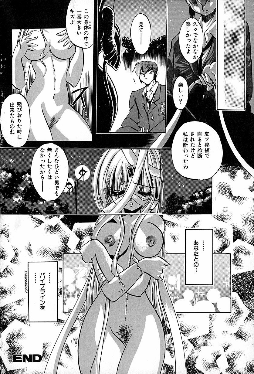 [Ogawa Renji] Nekomimi Aika Houtai Shoujo page 23 full