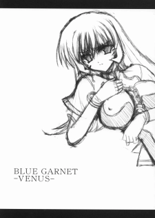 (C66) [BLUE GARNET (Serizawa Katsumi)] Blue Garnet ~VENUS~ (Zoid Genesis) - page 4