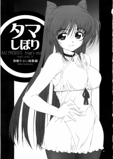 (SC40) [AXZ (Tamaki Yayoi, Yamaguchi)] Angel's Stroke 15 Tama Shibori (ToHeart2) [English] [desudesu] - page 3