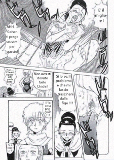 Dragon Ball - Confession [Italian] [Rewrite] [Mercury84] - page 13