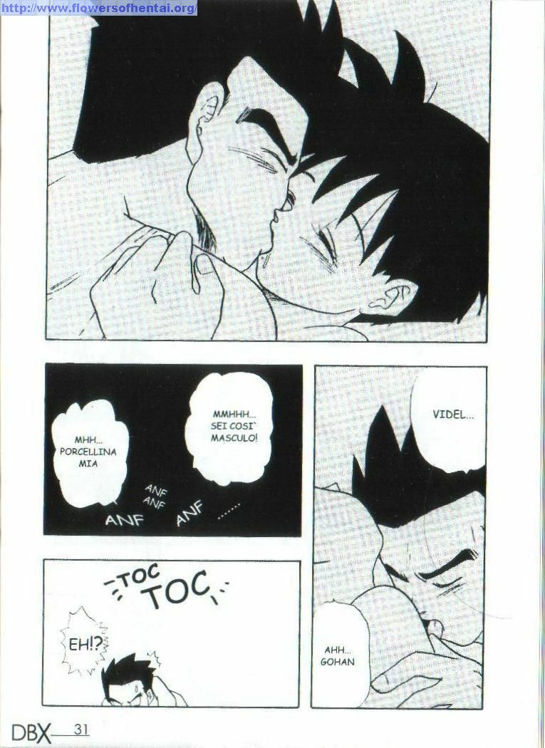 Dragonball X II [Italian] [Rewrite] page 33 full