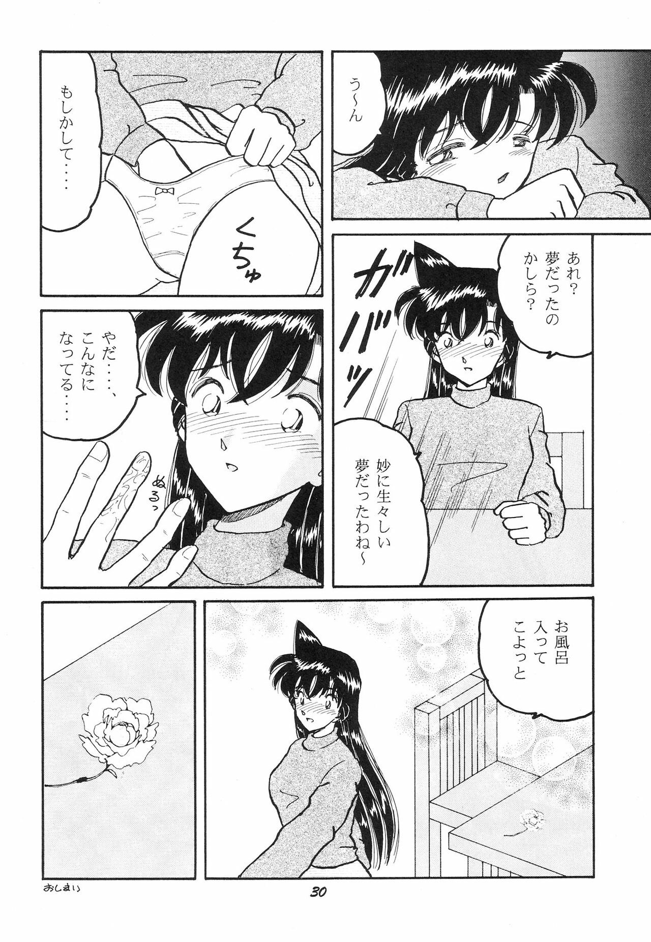 (C65) [Studio Boxer (Various)] Ho.He.To 28 (Detective Conan) page 31 full