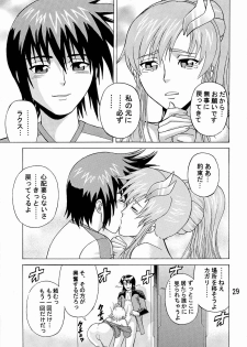 (CR35) [Bakuretsu Fusen (Denkichi)] Burst!! Vol. 2 (Mobile Suit Gundam SEED) - page 28