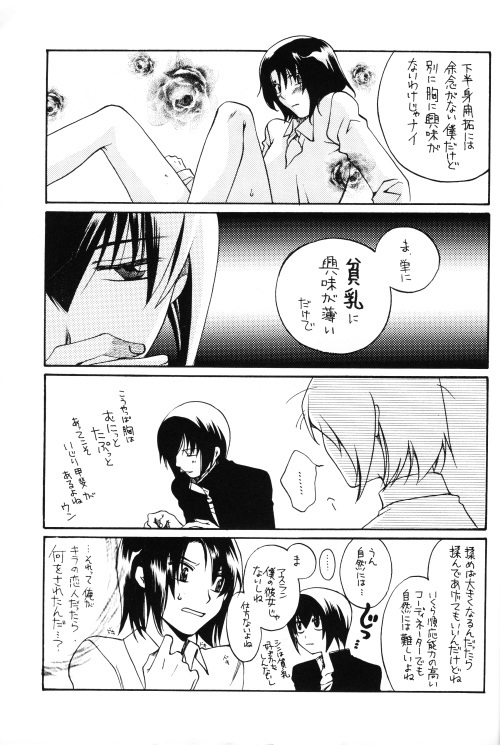 [Yunabon (Shikabane Christine)] Pumpkin School (Gundam SEED DESTINY) page 25 full