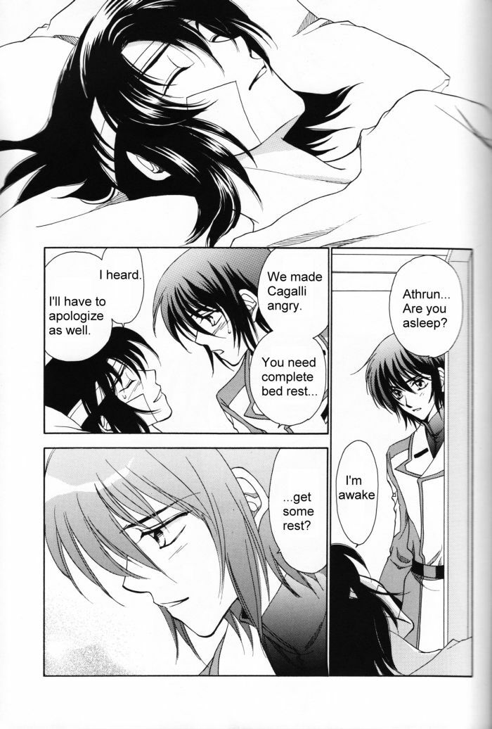 (Mimiket 13) [Yougekishu (Arina Toshimi)] Shakunetsu (Gundam SEED DESTINY) [English] [Arigatomina] page 24 full