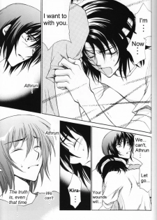 (Mimiket 13) [Yougekishu (Arina Toshimi)] Shakunetsu (Gundam SEED DESTINY) [English] [Arigatomina] - page 10