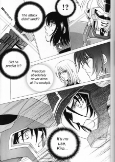 (Mimiket 13) [Yougekishu (Arina Toshimi)] Shakunetsu (Gundam SEED DESTINY) [English] [Arigatomina] - page 16