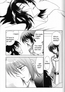 (Mimiket 13) [Yougekishu (Arina Toshimi)] Shakunetsu (Gundam SEED DESTINY) [English] [Arigatomina] - page 24