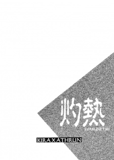 (Mimiket 13) [Yougekishu (Arina Toshimi)] Shakunetsu (Gundam SEED DESTINY) [English] [Arigatomina] - page 3