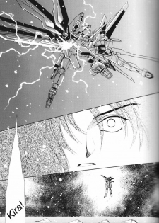 (Mimiket 13) [Yougekishu (Arina Toshimi)] Shakunetsu (Gundam SEED DESTINY) [English] [Arigatomina] - page 6