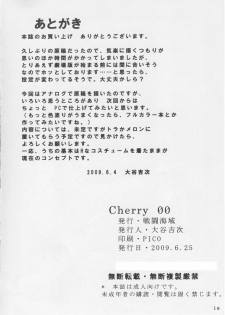 [Sentou Kaiiki (Ooya Yoshiji)] Cherry 00 (Neon Genesis Evangelion) - page 17