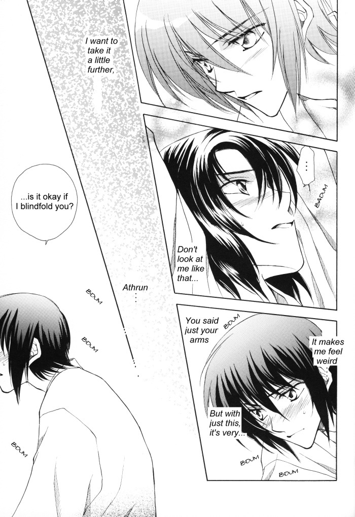 [Yougekishu (Arina Toshimi)] sweet honey moon (Gundam SEED DESTINY) [English] [Arigatomina] page 14 full