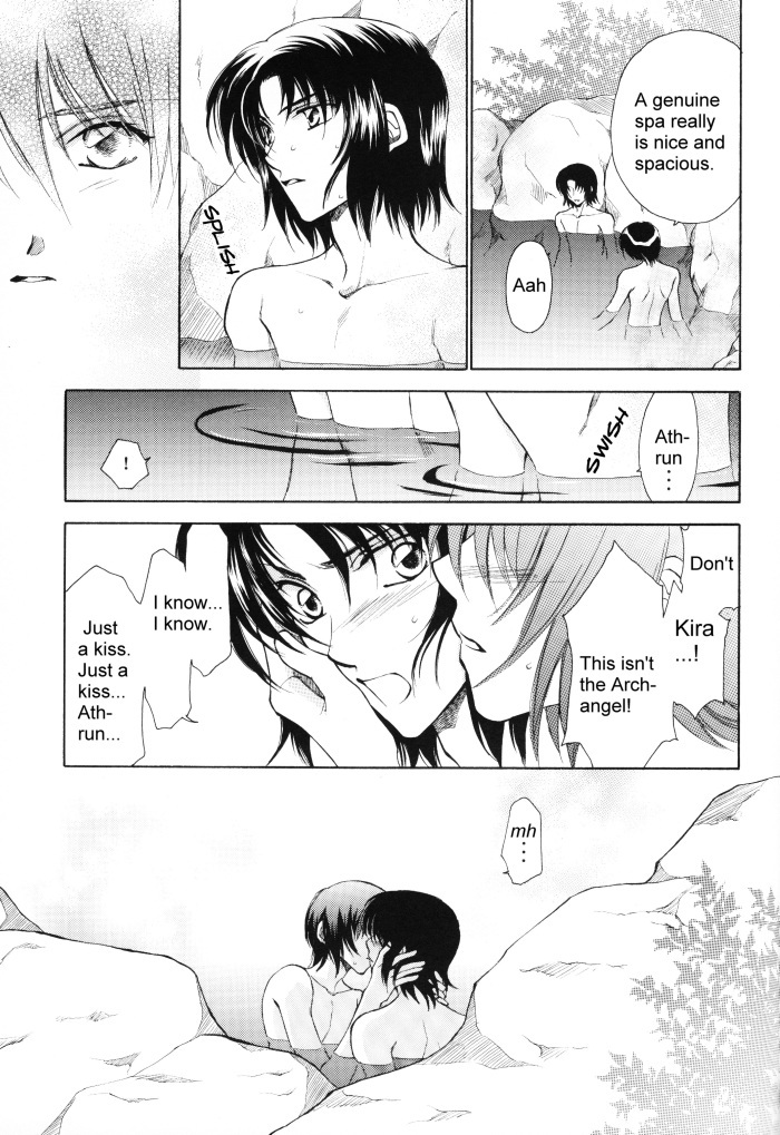 [Yougekishu (Arina Toshimi)] sweet honey moon (Gundam SEED DESTINY) [English] [Arigatomina] page 8 full