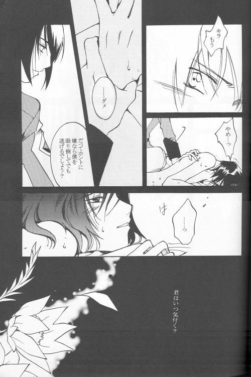 (C69) [Yunabon (Shikabane Christine)] Orokashikute Kawaisouna (Gundam SEED DESTINY) page 21 full
