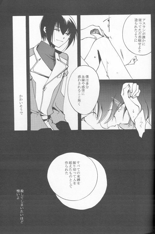 (C69) [Yunabon (Shikabane Christine)] Orokashikute Kawaisouna (Gundam SEED DESTINY) page 23 full
