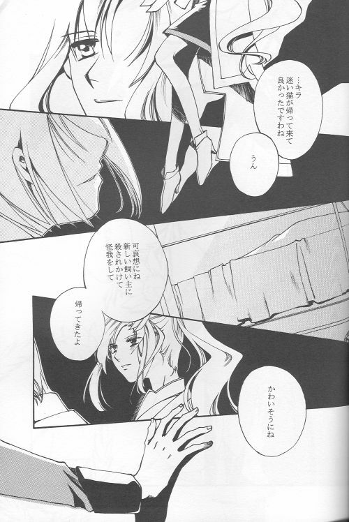 (C69) [Yunabon (Shikabane Christine)] Orokashikute Kawaisouna (Gundam SEED DESTINY) page 3 full