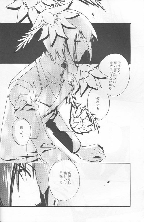 (C69) [Yunabon (Shikabane Christine)] Orokashikute Kawaisouna (Gundam SEED DESTINY) page 4 full