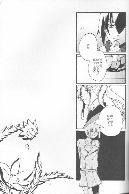 (C69) [Yunabon (Shikabane Christine)] Orokashikute Kawaisouna (Gundam SEED DESTINY) page 5 full