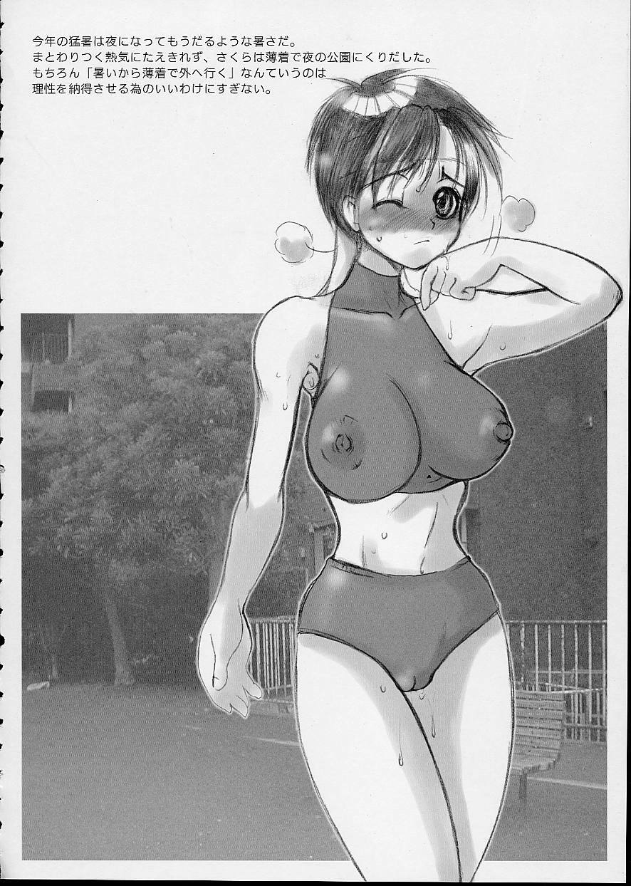 (C62) [Sarurururu (Doru Riheko)] Holic 2 Sky High (Street Fighter) page 36 full