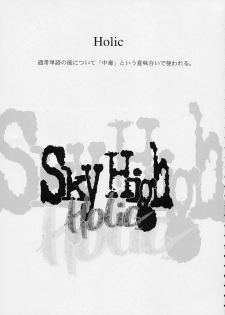 (C62) [Sarurururu (Doru Riheko)] Holic 2 Sky High (Street Fighter) - page 5