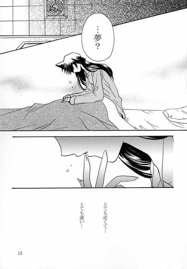 (C65) [Nikuman Aikoukai (Ryuga Syo)] LOVERS KISS (Detective Conan) page 14 full