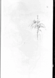 [RST Slave (Ebina Souichi)] Kasumi Love (Dead or Alive) - page 21