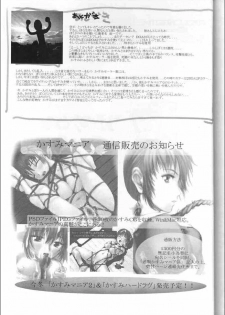 [RST Slave (Ebina Souichi)] Kasumi Love (Dead or Alive) - page 23
