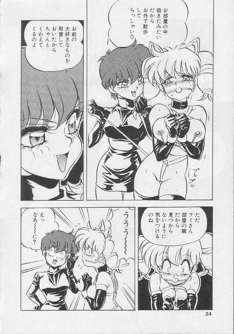 (C41) [Koala Kikaku (Mon-Mon)] Mon-Mon Land 2 page 23 full