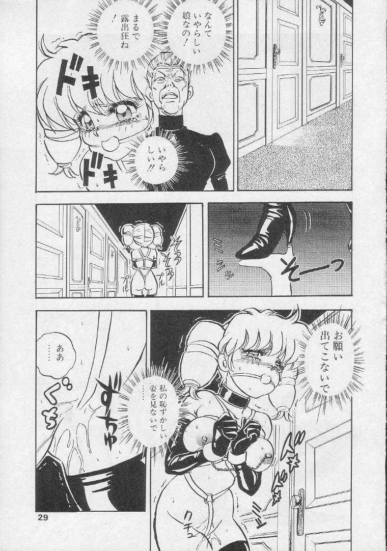 (C41) [Koala Kikaku (Mon-Mon)] Mon-Mon Land 2 page 28 full