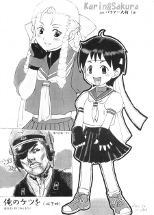 (C65) [Shinnihon Pepsitou (St.germain-sal)] Suki Suki Karin Ojousama (Street Fighter) - page 18