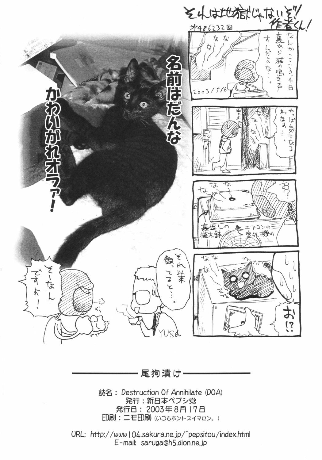 (C64) [Shinnihon Pepsitou (St.germain-sal)] Destruction Of Annihilate (Dead or Alive) page 37 full
