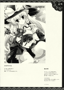 [Shigunyan (Shigunyan)] Shigukore 8 (Touhou Project) - page 23