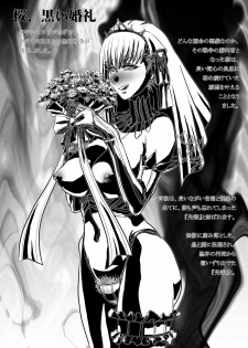 (C75) [Fujidana (Fujito)] Akai Akuma Kuroi Mushi (Fate/stay night) - page 23