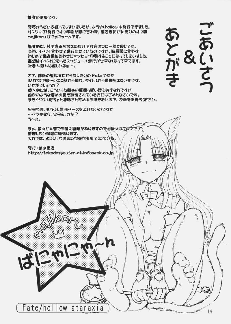 [Takeda Syouten (Takeda Sora)] Magical Bunny Nyan (Fate/hollow ataraxia) page 13 full