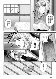 [Rindou] SenKi Madou Den Asuka & Shizuru | 戦姫魔導伝 明日香&静流 [Chinese] [最果ての神狐] - page 28