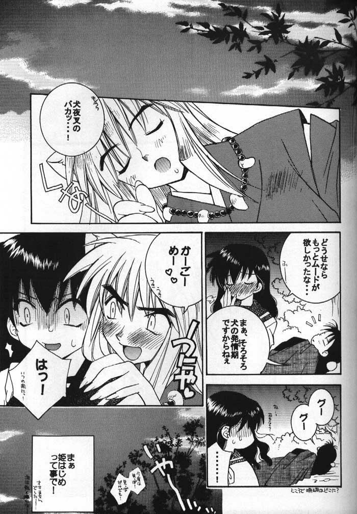 (C61) [Nekomarudou Honpo (Nekomaru)] Inuyasha Doku Hon (Inuyasha) page 10 full