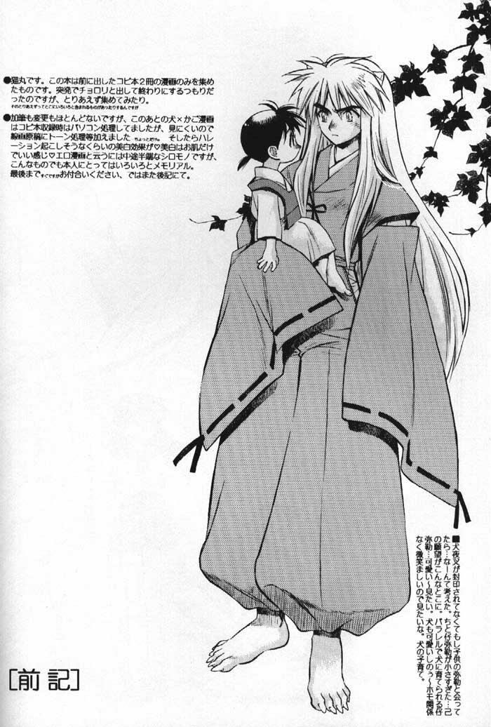 (C61) [Nekomarudou Honpo (Nekomaru)] Inuyasha Doku Hon (Inuyasha) page 3 full