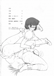 [Kinoko Allstars] Tsuushin Z (English) (Ikkitousen) {Doujin-Moe.us} - page 3