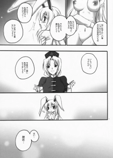 (C75) [Himeya (Abe Inori)] Usagi ga Mita Yume (Touhou Project) - page 6