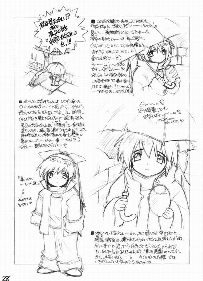 (C61) [WILD KINGDOM (Sensouji Kinoto)] HEROES (s-CRY-ed) page 25 full