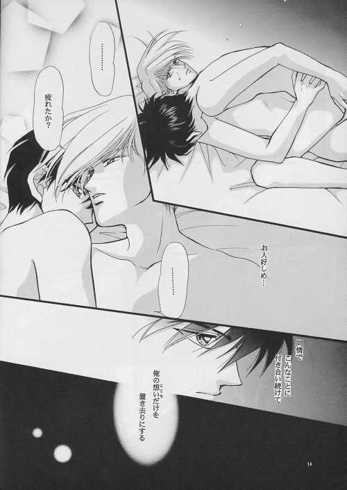 [PSYCHE (FUMIN)] Cynical Moon (Gundam Wing) page 13 full