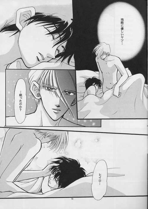 [PSYCHE (FUMIN)] Cynical Moon (Gundam Wing) page 14 full