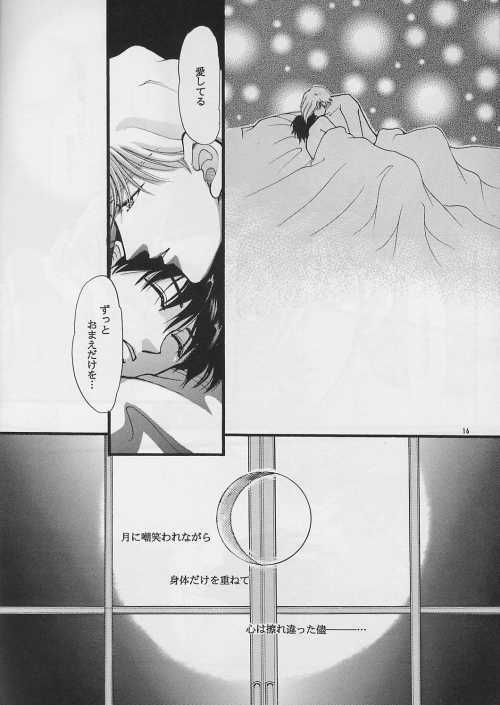 [PSYCHE (FUMIN)] Cynical Moon (Gundam Wing) page 15 full