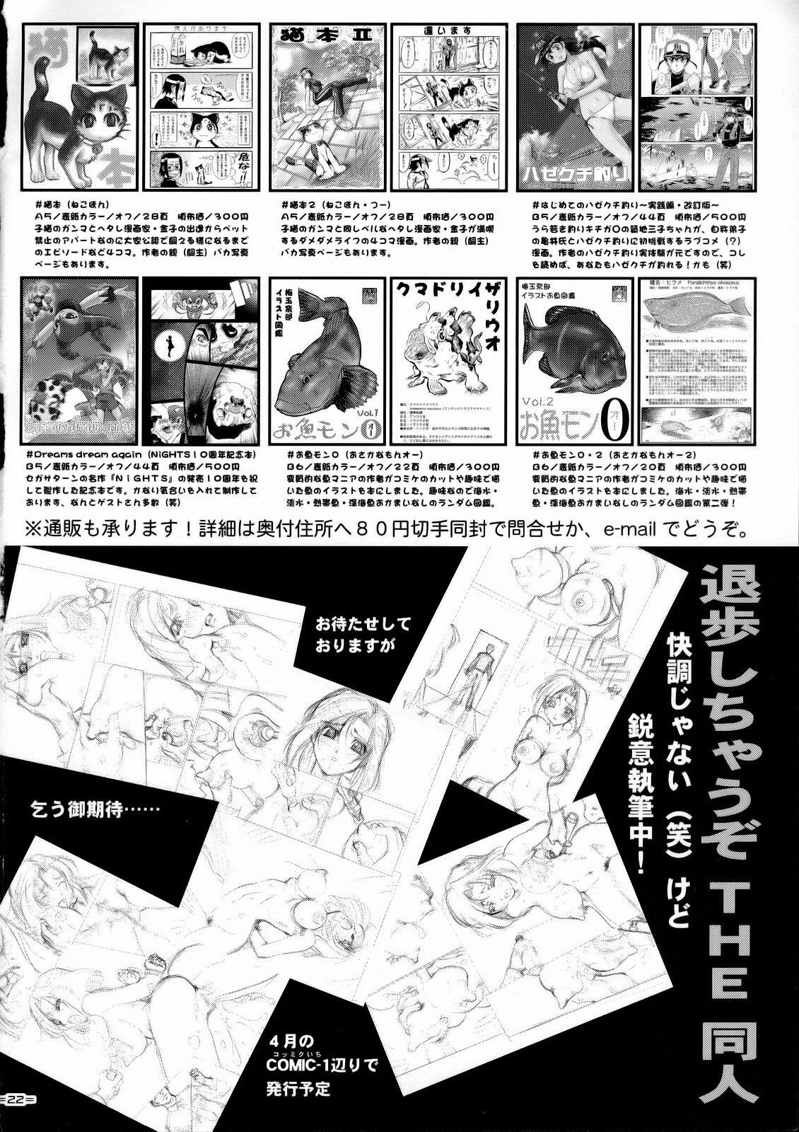 (C71) [Tsurikichi Doumei (Umedama Nabu)] Souryo Kanin (Dragon Quest III) page 21 full