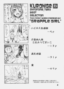 [kuro hige] KUROHIGE SHINONOME TARO BEST SELECTION GRAPPLE GIRL (GGXX) - page 3