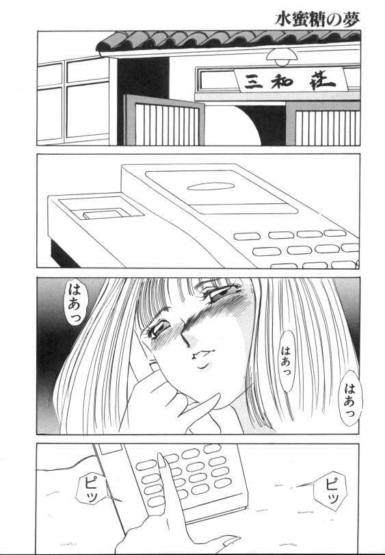 [Umino Yayoi] Suimitsutou no Yume page 102 full
