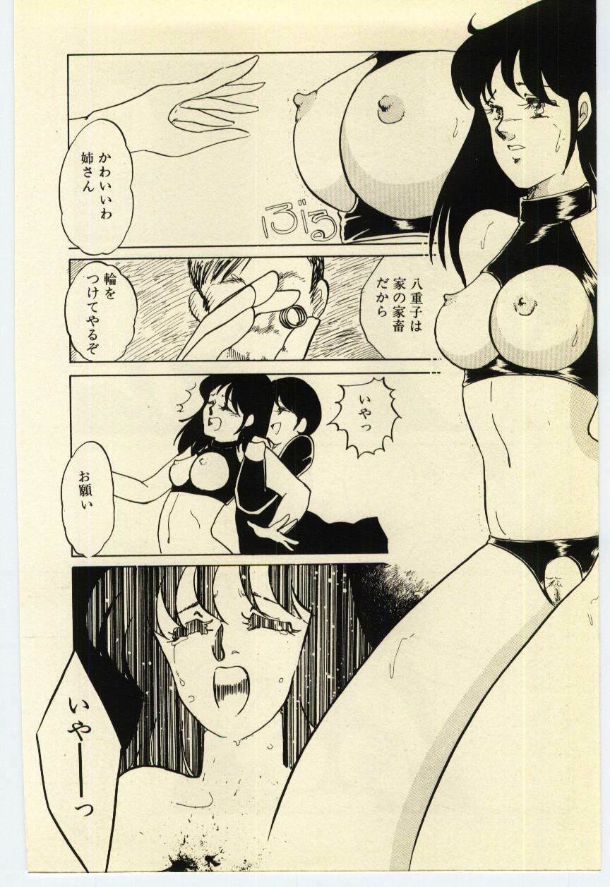 [Umino Yayoi] Akai High Heel page 47 full